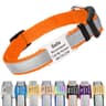 GoTags Reflective Personalized Collar
