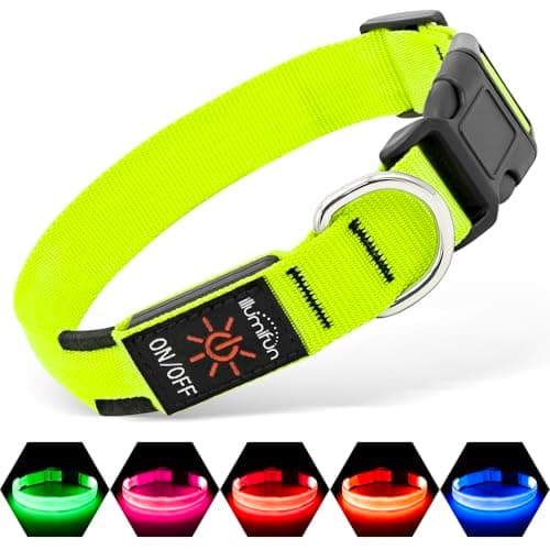 Illumifun Light-Up LED Collar
