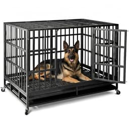 NUGRIART Heavy Duty Steel Dog Crate, 42"