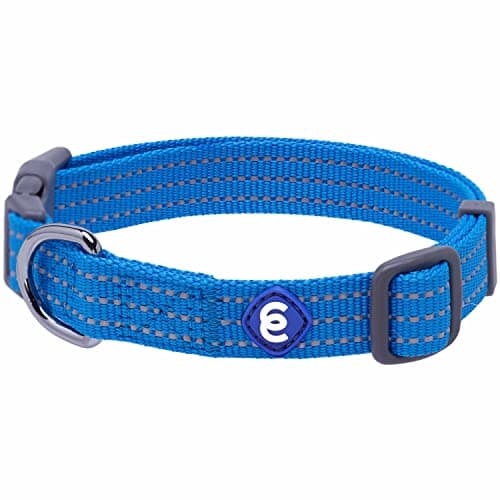 Blueberry Pet Essentials Reflective Back to Basics Collar