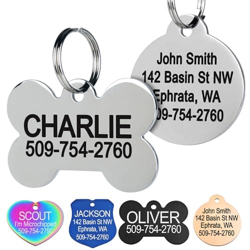 GoTags Stainless Steel Pet ID Tag
