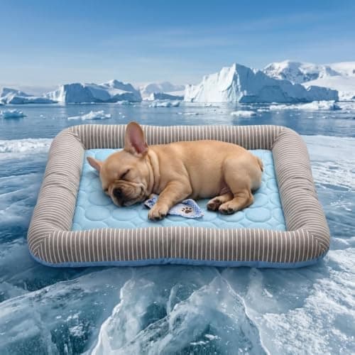 Pbed Ice-Silk Cooling Mat with Bolster