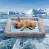 Pbed Ice-Silk Cooling Mat with Bolster
