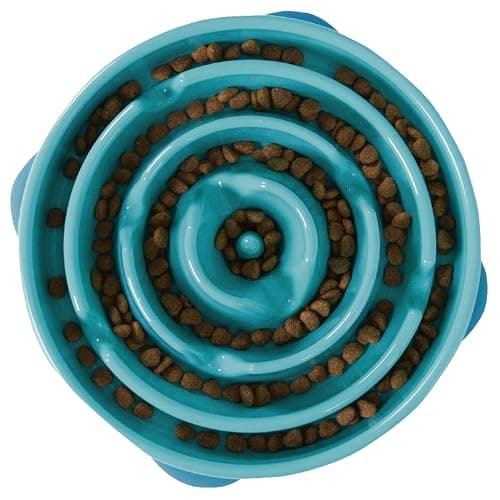Outward Hound Fun Feeder Slo Bowl, Large