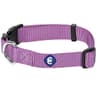 Blueberry Pet Essentials Nylon Collar