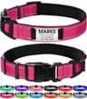 Joytale Collar with Built-In Nameplate