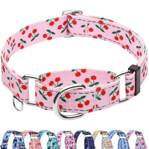 Fidohug Reflective Martingale Collar