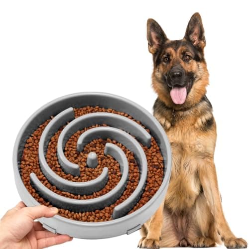 JASGOOD Spiral Maze Slow Feeder Bowl