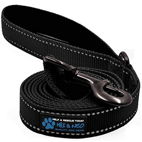 Max and Neo Reflective Nylon Leash