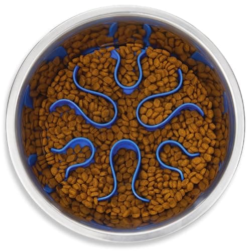 Outward Hound Fun Feeder Stainless Steel Slo Bowl, Medium
