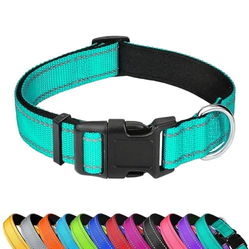 PWOD Reflective Neoprene-Padded Collar
