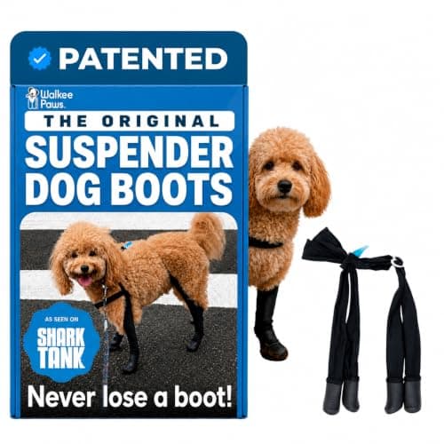 Walkee Paws Booties & Leggings