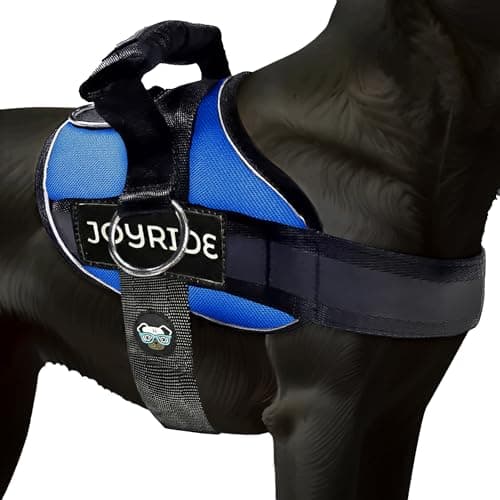 Joyride Harness 2.0 (Side-Ring No-Pull)