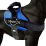 Joyride Harness 2.0 (Side-Ring No-Pull)
