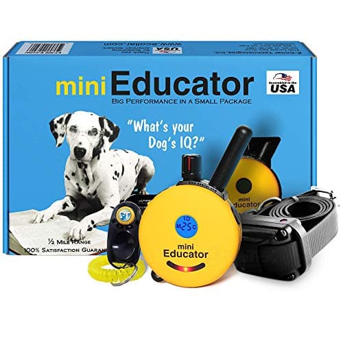 Educator ET-300 Remote Trainer