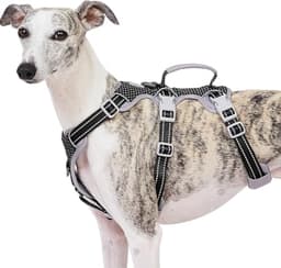 Huntboo Escape-Proof Reflective Harness