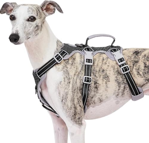 Huntboo Escape-Proof Reflective Harness