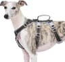 Huntboo Escape-Proof Reflective Harness