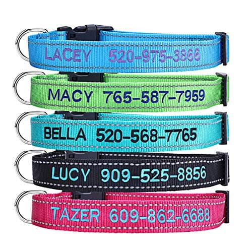 YDL Embroidered Personalized Collar