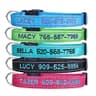 YDL Embroidered Personalized Collar